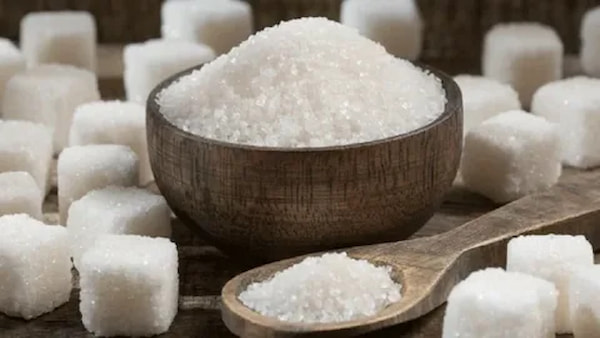 تصویر 5 از قیمت خرید نمک دریا خالص + فروش ویژه
